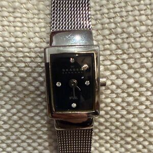 Skagen Silver Mesh Strap Black Dial Women's Watch